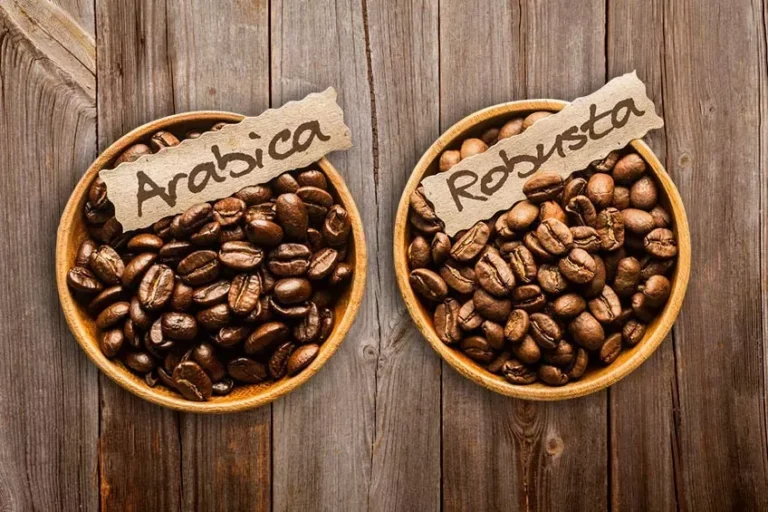 Biji kopi arabika dan robusta