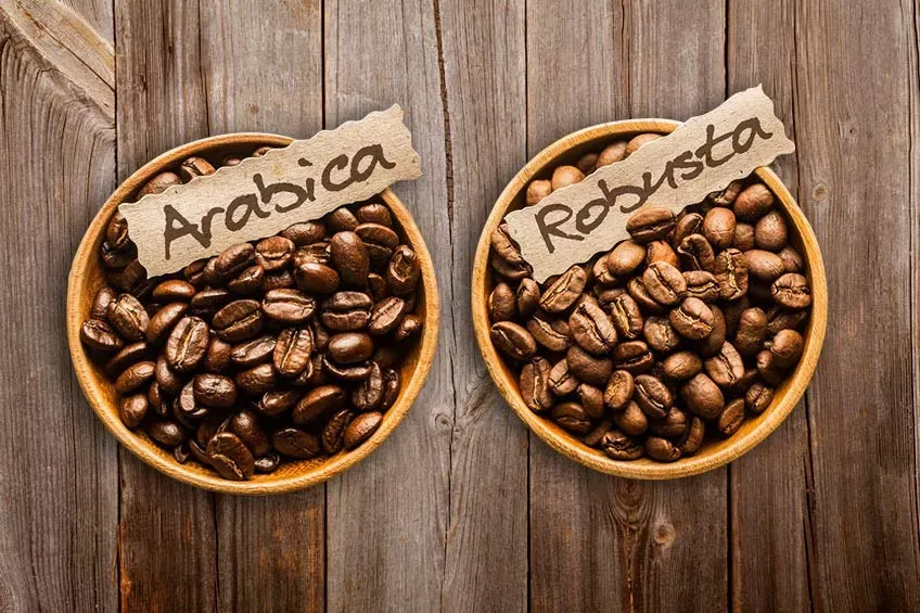 Biji kopi arabika dan robusta