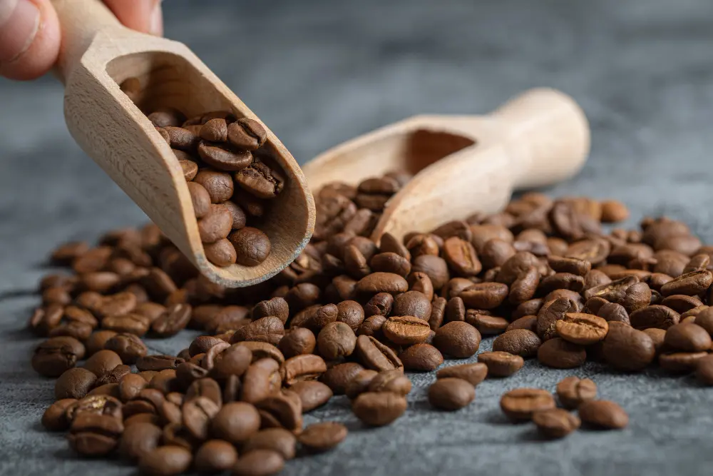 Kopi Robusta: Karakteristik, Rasa, dan Mengapa Kamu Perlu Mengenalnya